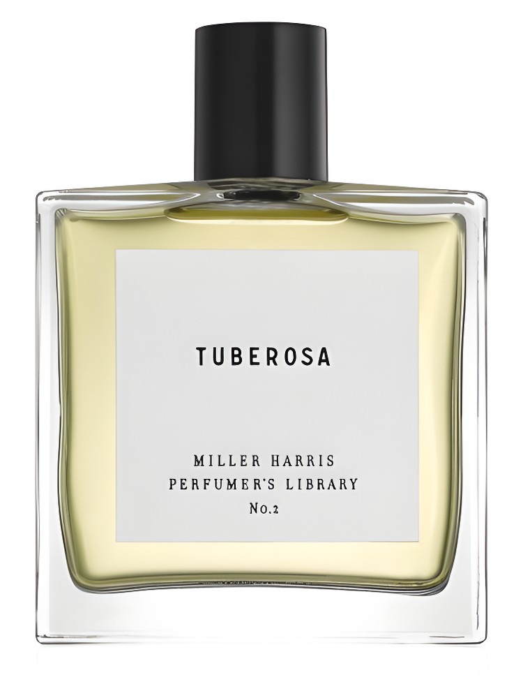 Tuberosa