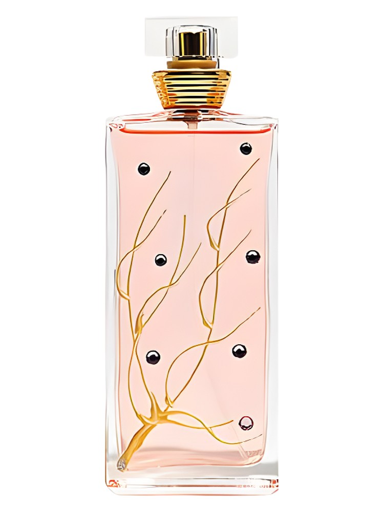 Les 4 Saisons Printemps