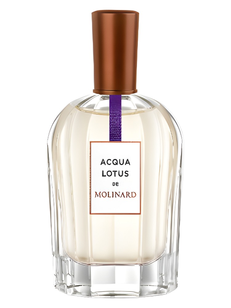 Acqua Lotus