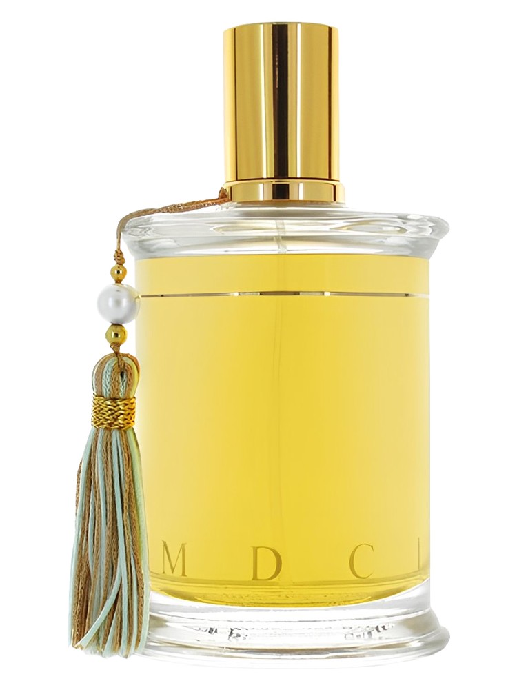 Le Rivage des Syrtes