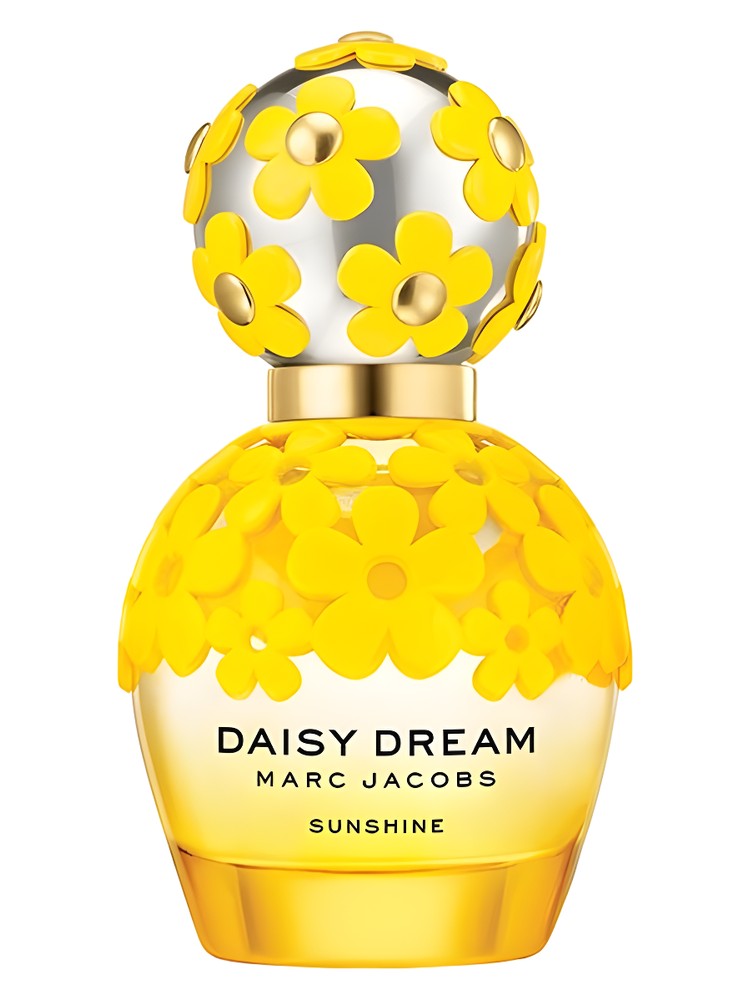 Daisy Dream Sunshine
