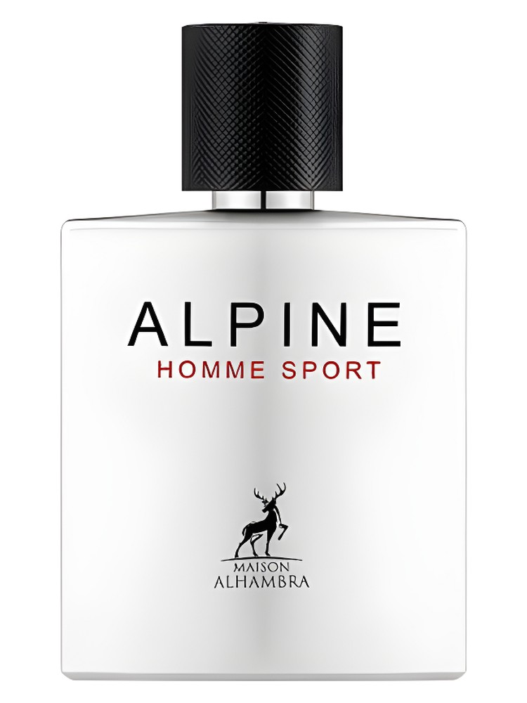 Alpine Homme Sport