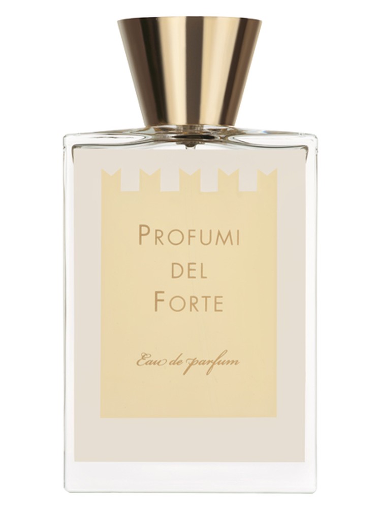 Ambra Mediterranea Versilia Vintage Ambra Mediterranea