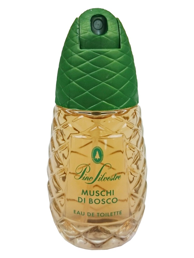 Pino Silvestre Muschi Di Bosco