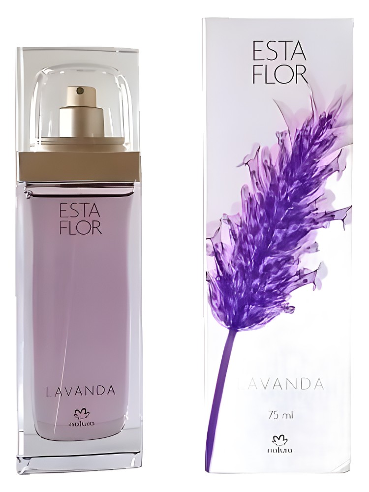 Esta Flor Lavanda