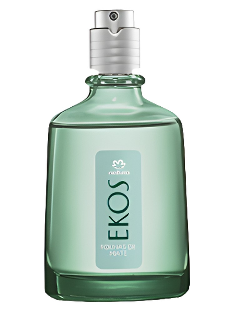 Mate Leaves Folhas de Mate