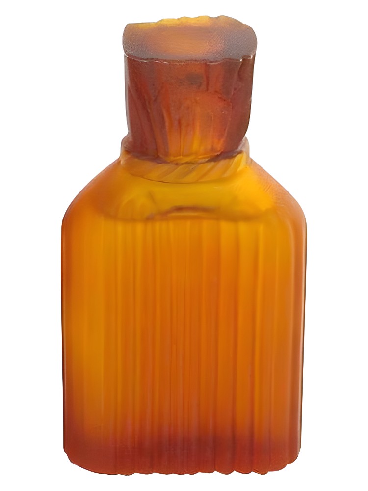 Nicole Miller for Men