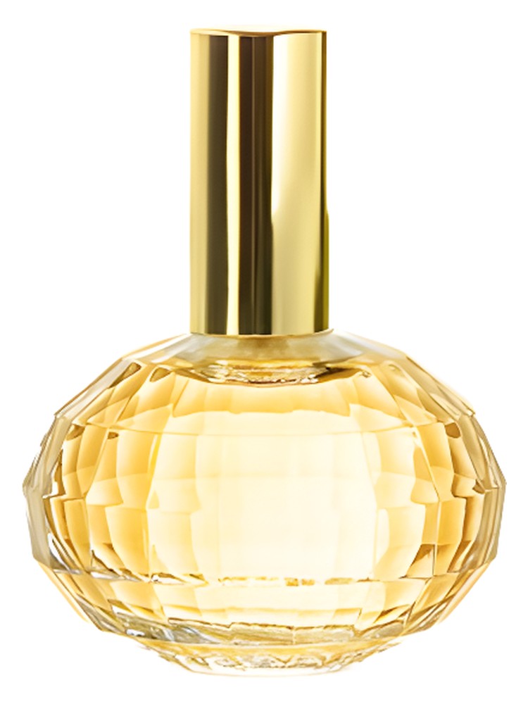 Memories Daydreaming in a Hammock