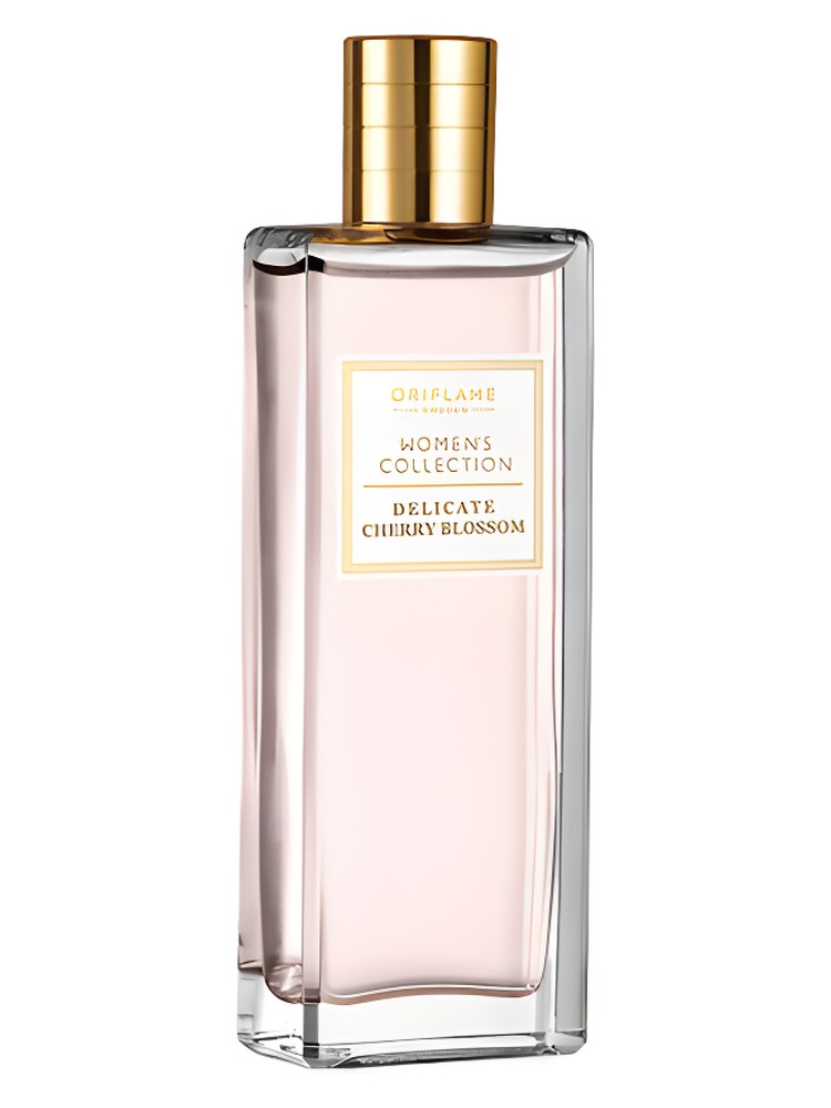 Delicate Cherry Blossom