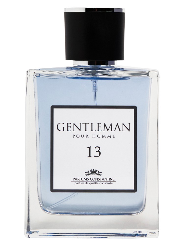 Gentleman N 13
