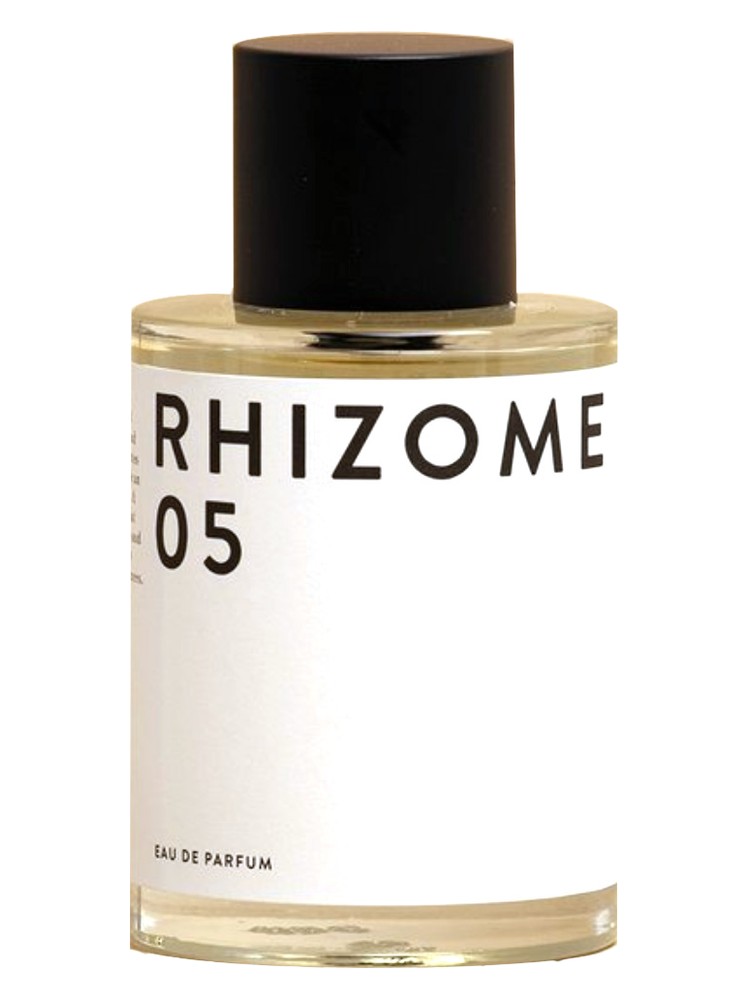 Rhizome 05