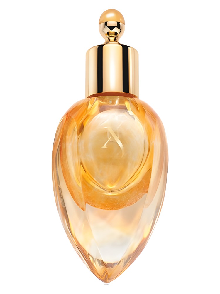 Richwood Perfume Extract