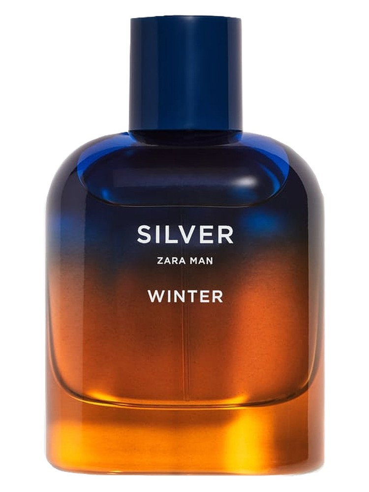 Silver Winter Zara Man