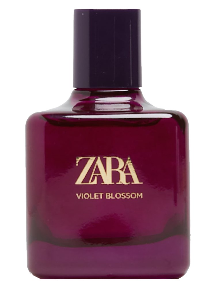 Violet Blossom