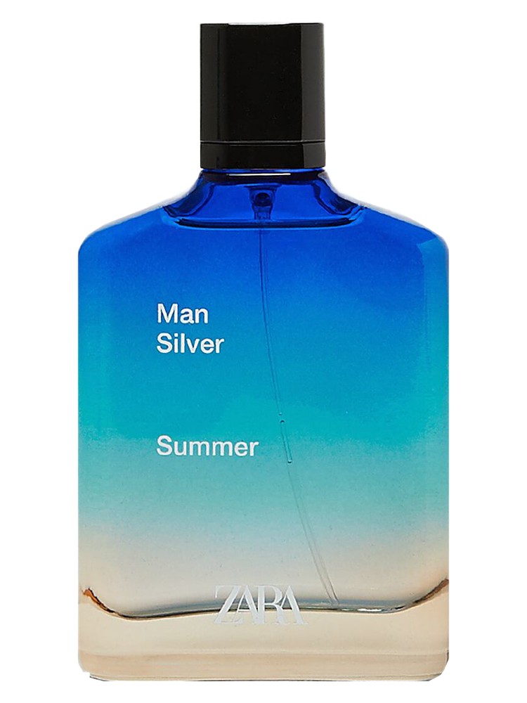 Zara Man Silver Summer 2020