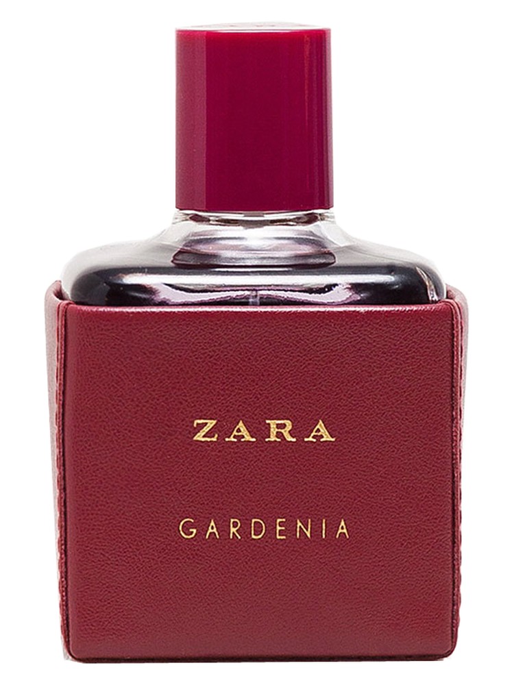 Zara Gardenia 2016