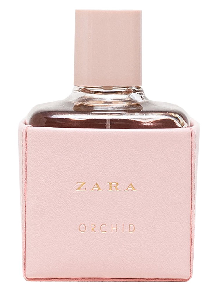 Zara Orchid 2016