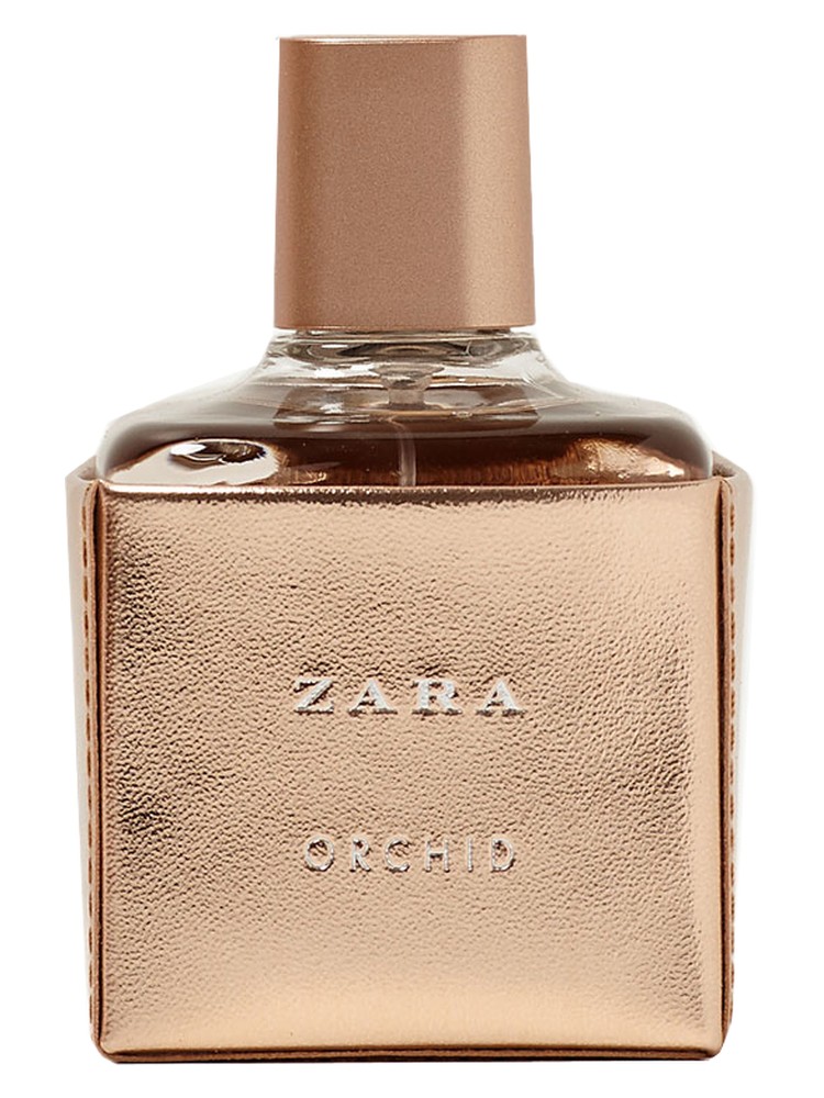 Zara Orchid 2017