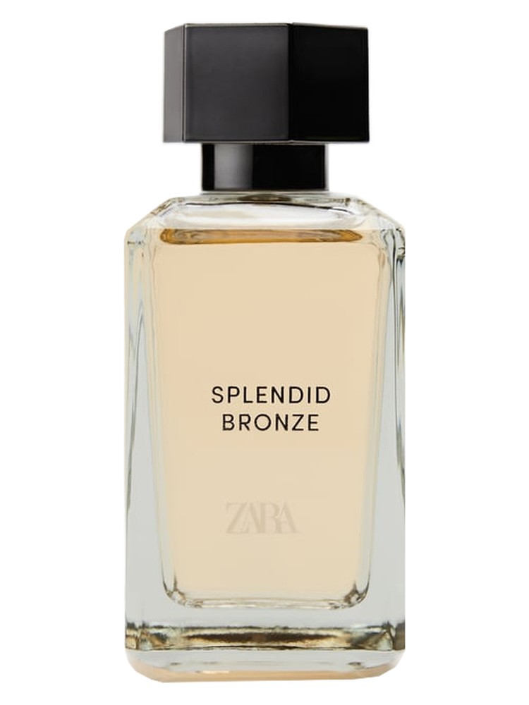 Splendid Bronze Into The Gourmand