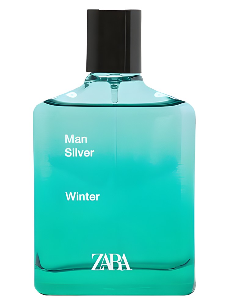 Man Silver Winter