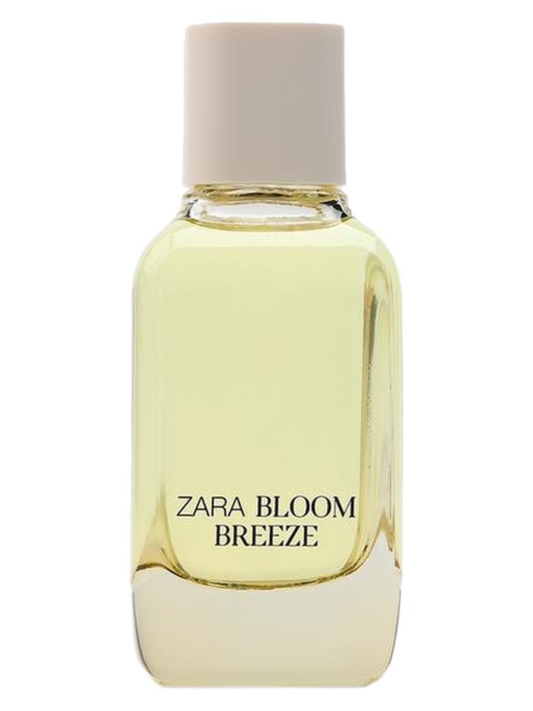 Bloom Breeze