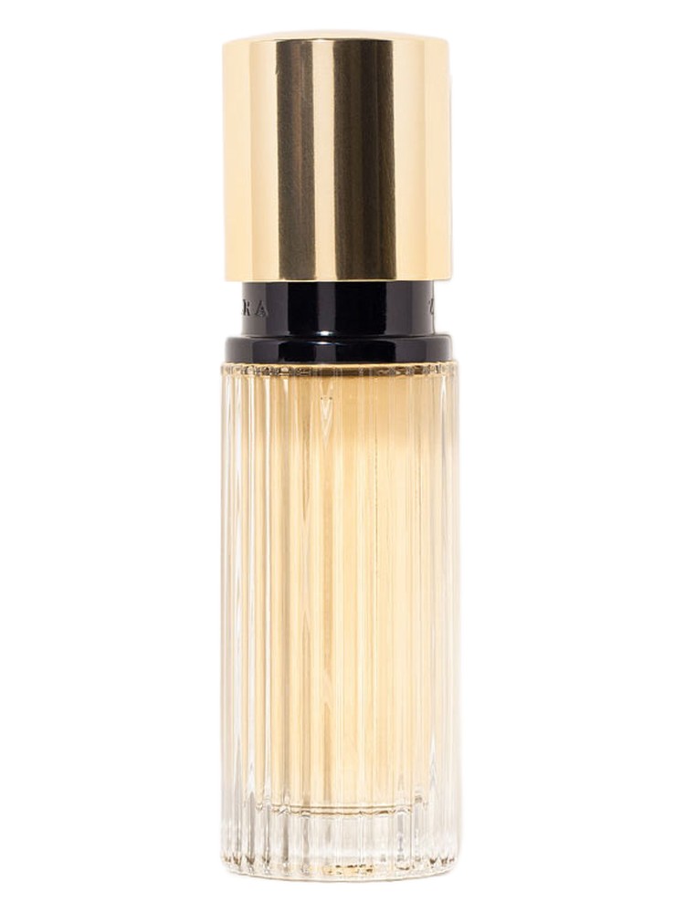 Zara Woman Gold 2013