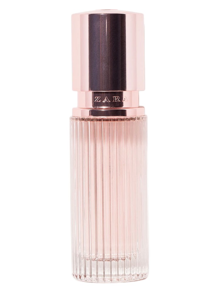 Zara Woman Rose Gold 2013