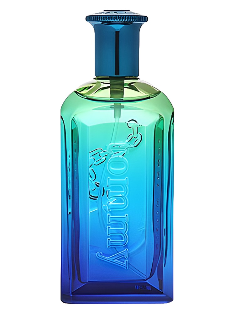 Tommy Summer Cologne 2006