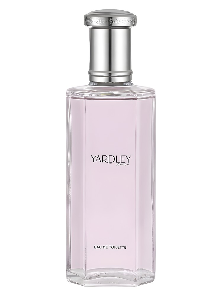 English Rose Contemporary Edition