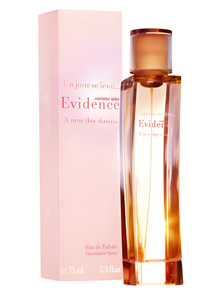 Comme une Evidence A New Day Dawns