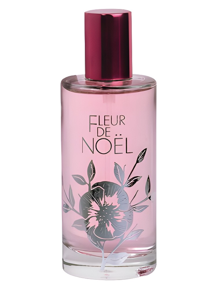 Fleur de Noel