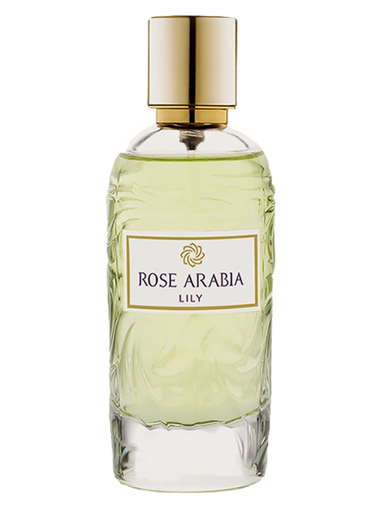 Rose Arabia Lily