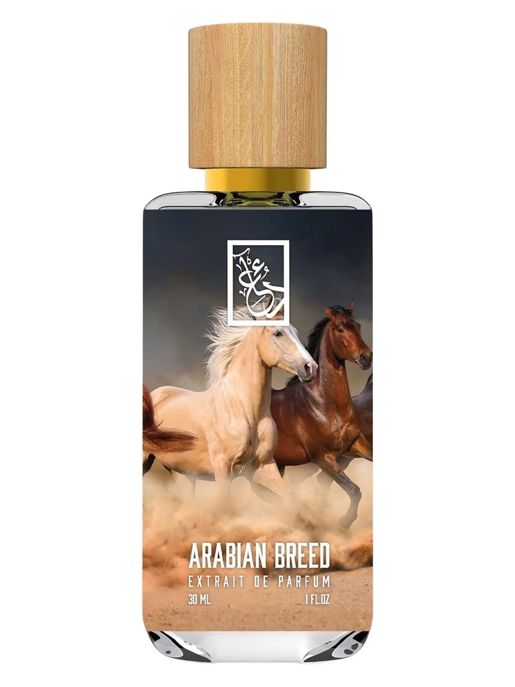 Arabian Breed