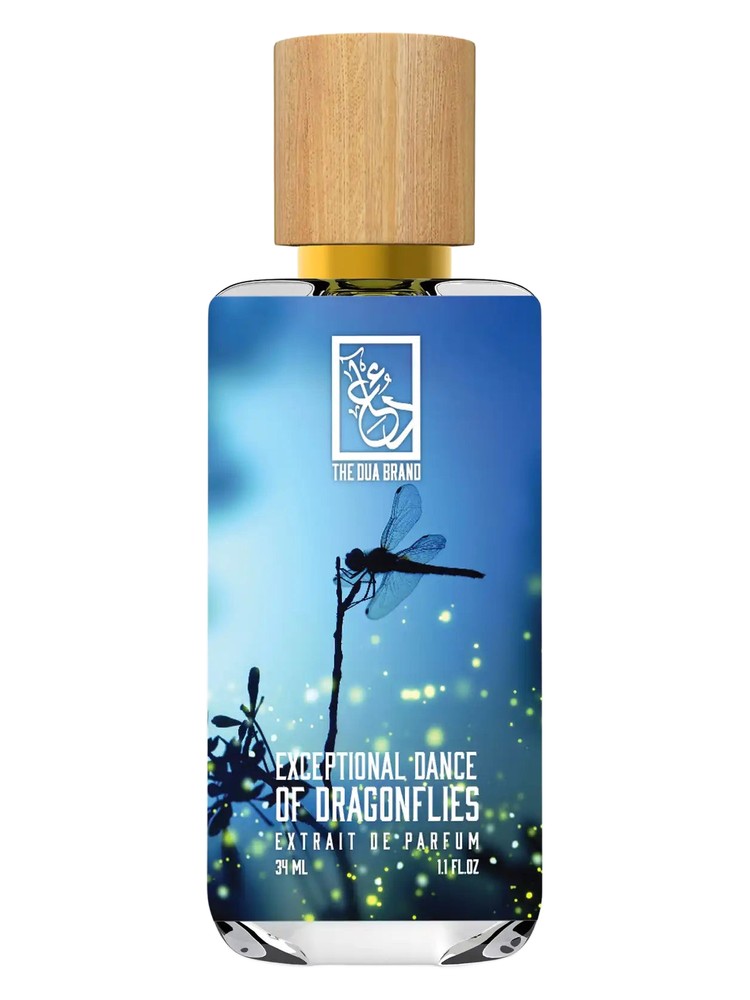 Exceptional Dance Of Dragonflies