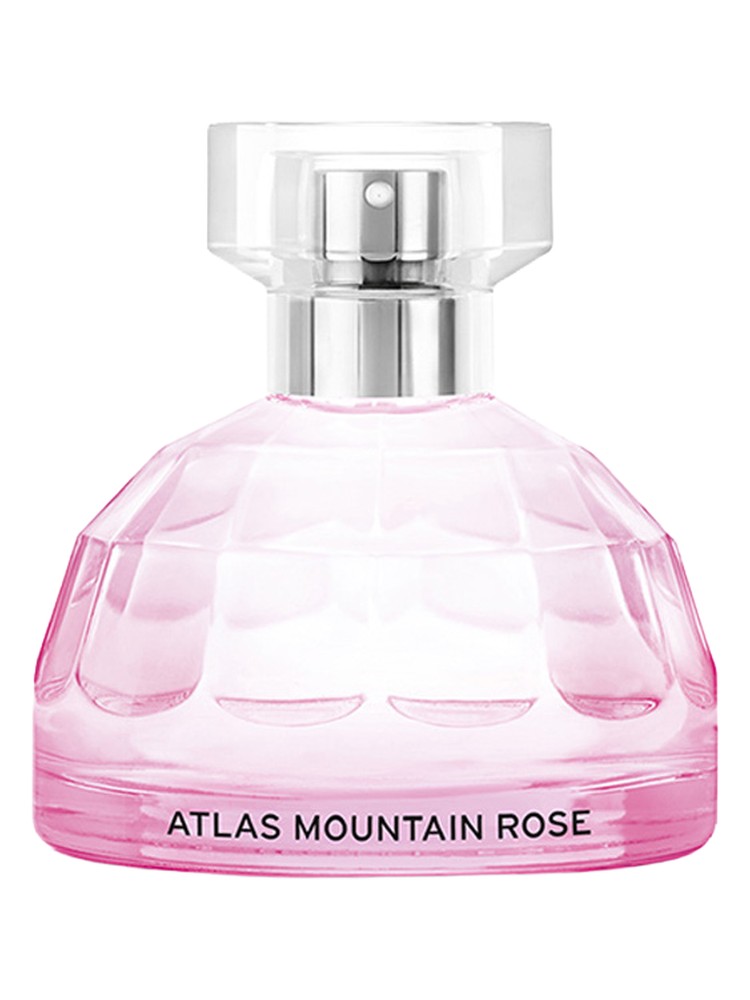 Atlas Mountain Rose