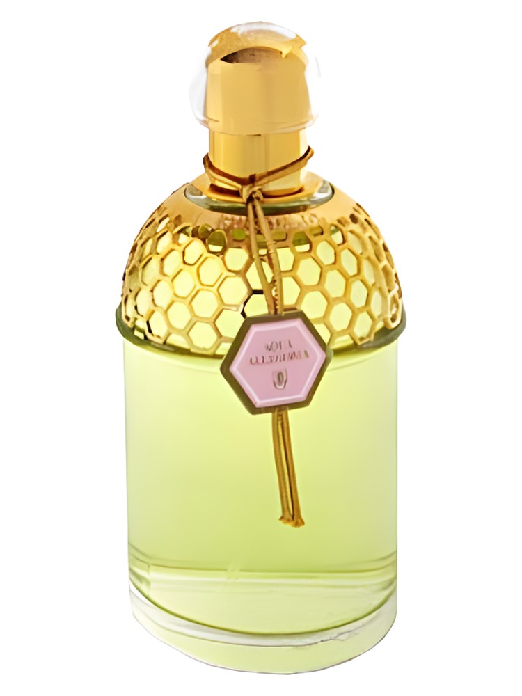 Aqua Allegoria Rosa Magnifica