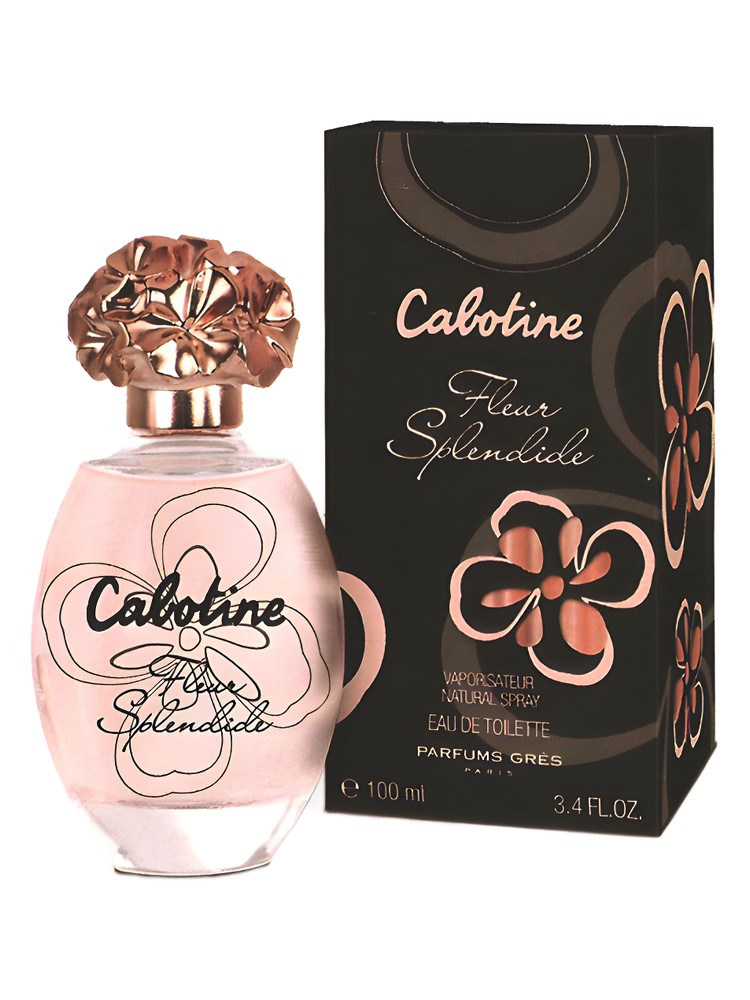 Cabotine Fleur Splendide