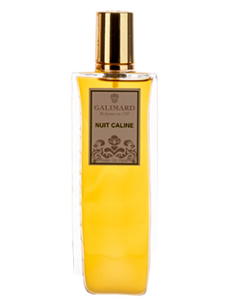 Nuit Caline